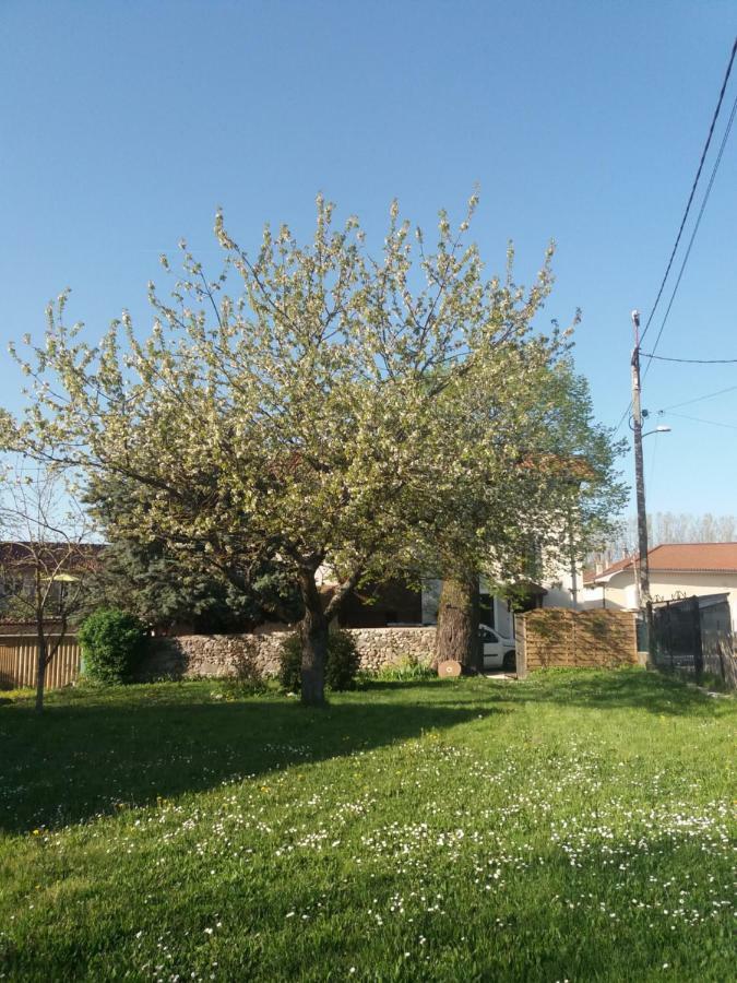 Les Copains D'Abord Villa Beaucroissant Kültér fotó
