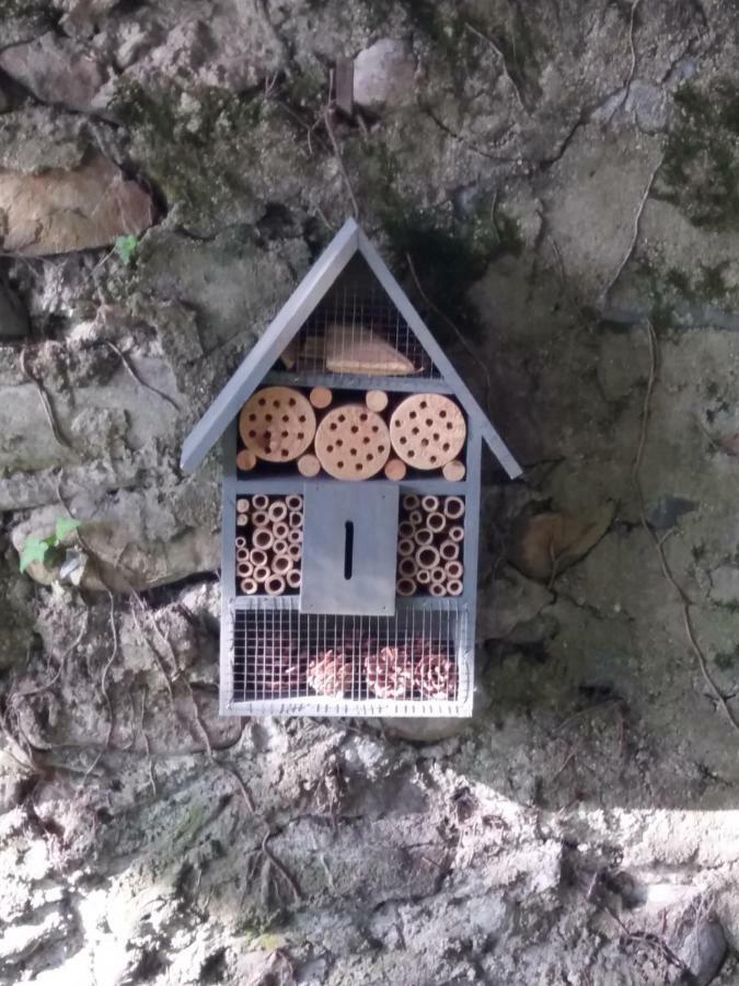 Les Copains D'Abord Villa Beaucroissant Kültér fotó